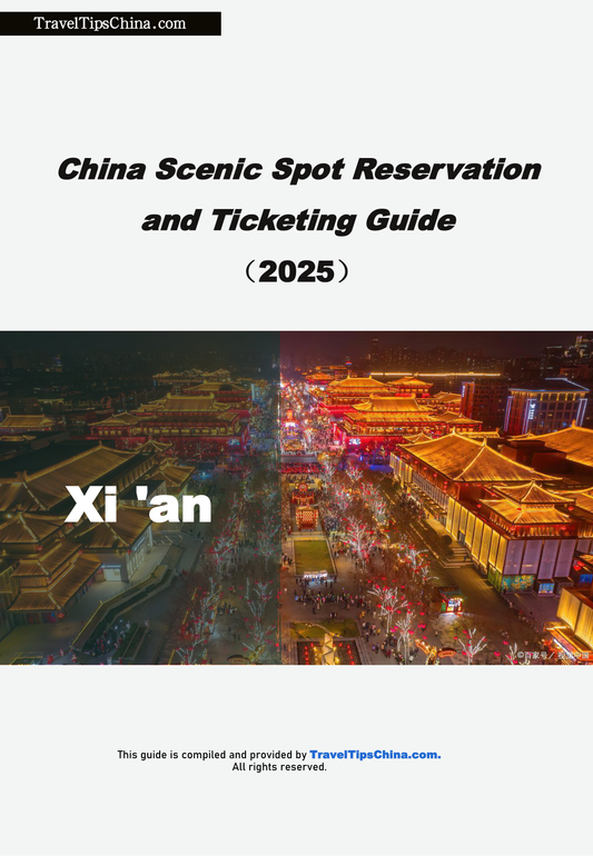 Xi'an DIY Tour: A Poetic Guide to Booking Ancient Relics in Advance