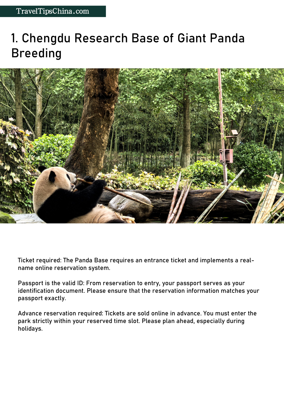 Chengdu DIY Tour: A Poetic Guide to Booking Cultural Treasures in Advance