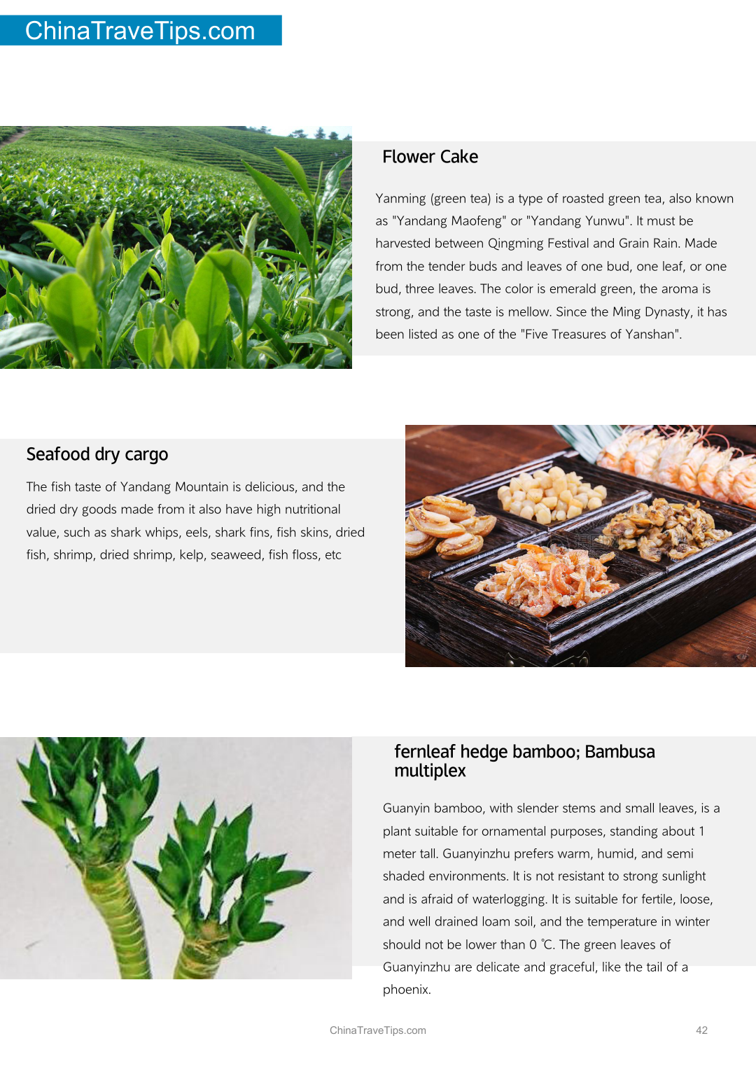 Yandang Mountain Travel Guide